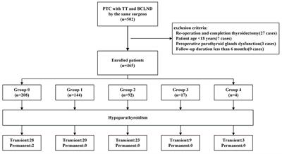 The role of parathyroid autotransplantation for hypoparathyroidism following total thyroidectomy with bilateral central neck dissection